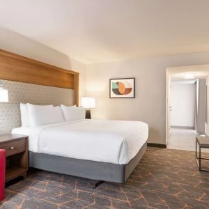 King room at DoubleTree By Hilton Fort Worth South.