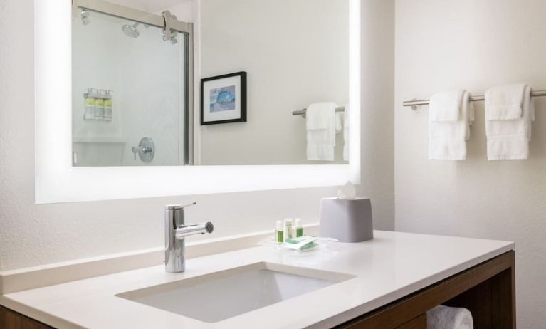Guest bathroom at DoubleTree By Hilton Fort Worth South.