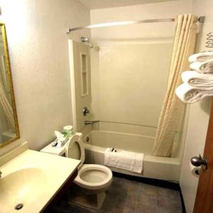 Private guest bathroom with combined tub and shower at Norwood Inn & Suites - Roseville.
