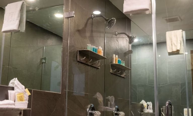 Private guest bathroom with shower and free toiletries at Hotel Chelsea, A South Beach Group Hotel.