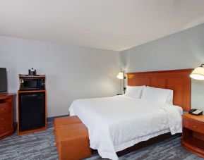 King bed at Hampton Inn & Suites Clovis-Airport North.