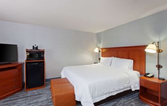 King bed at Hampton Inn & Suites Clovis-Airport North.