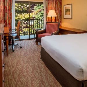 King room with TV at DoubleTree By Hilton Seattle Airport.