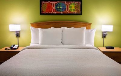 King pool at Sonesta Simply Suites Phoenix Scottsdale.