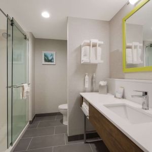 Guest bathroom with shower at Hampton Inn Detroit Southfield.
