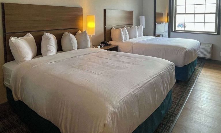Day use twin room at MainStay Suites Oak Brook Terrace - Chicago.