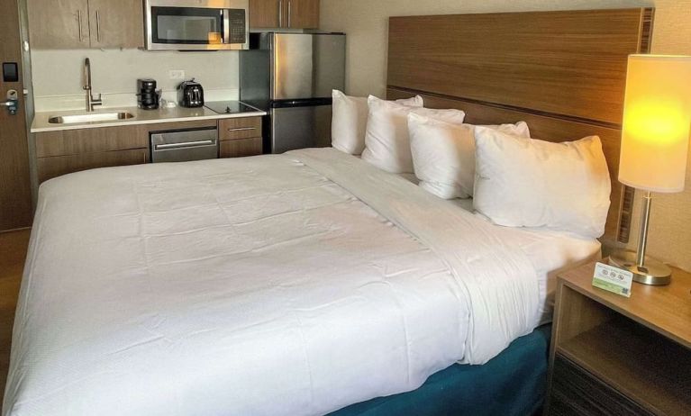 Cozy king room at MainStay Suites Oak Brook Terrace - Chicago.