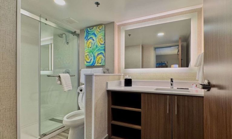 Private guest bathroom at MainStay Suites Oak Brook Terrace - Chicago.