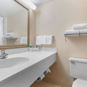 Guest bathroom with shower and free toiletries at Holiday Inn Express Chicago - Downers Grove.