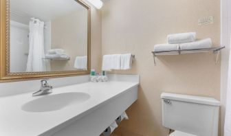 Guest bathroom with shower and free toiletries at Holiday Inn Express Chicago - Downers Grove.
