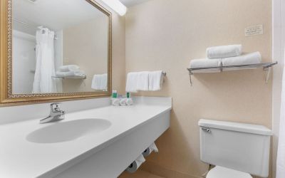 Guest bathroom with shower and free toiletries at Holiday Inn Express Chicago - Downers Grove.