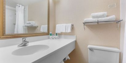 Guest bathroom with shower and free toiletries at Holiday Inn Express Chicago - Downers Grove.
