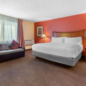 Bright and spacious day use room at Holiday Inn Express Chicago - Downers Grove.