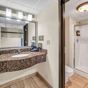 Private guest bathroom with shower and free toiletries at Radisson Hotel Schaumburg.