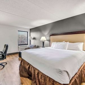 King bed at Radisson Hotel Schaumburg.