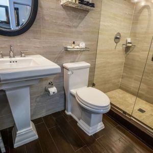 Private guest bathroom with shower and free toiletries at Hotel Croydon.