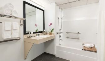 Guest bathroom with shower and tub at Hotel Studio Allston.
