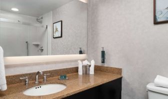 Private guest bathroom with shower and free toiletries at DoubleTree By Hilton Hartford - Bradley Airport.