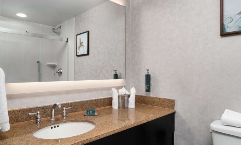 Private guest bathroom with shower and free toiletries at DoubleTree By Hilton Hartford - Bradley Airport.