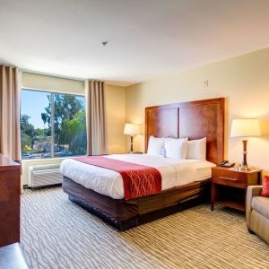 Dayroom with TV and natural light at Comfort Inn Pomona Near Fairplex.