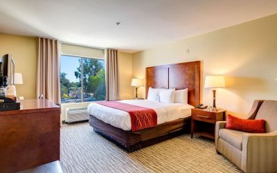 Dayroom with TV and natural light at Comfort Inn Pomona Near Fairplex.