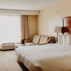 Delux king room with natural light at Comfort Inn Pomona Near Fairplex.