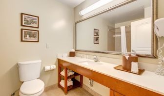 Private guest bathroom with shower at Comfort Inn Pomona Near Fairplex.