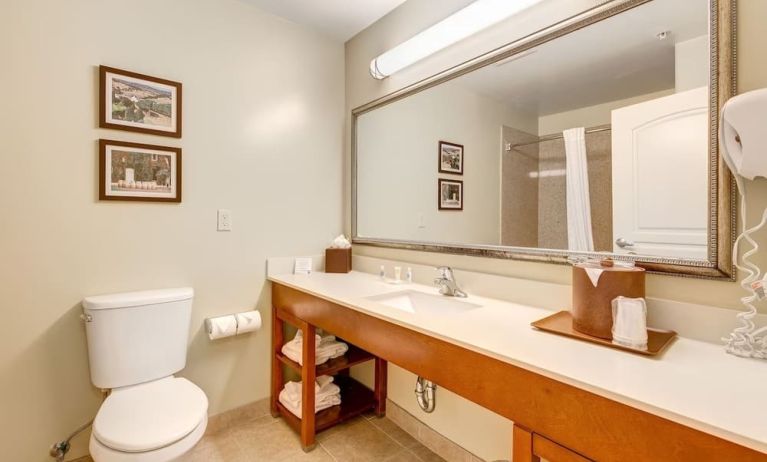 Private guest bathroom with shower at Comfort Inn Pomona Near Fairplex.