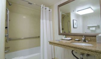 Guest bathroom with shower and tub at Hilton Los Angeles Airport.