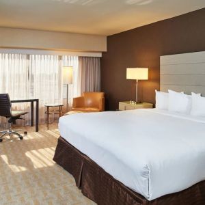 Spacious day use room with work desk and natural light at Hilton Los Angeles Airport.