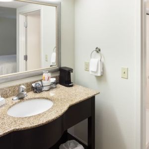 Private guest bathroom at Hampton Inn & Suites Gainesville-Downtown.