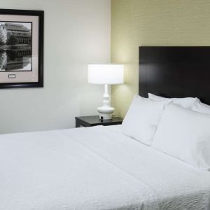 King bed at Hampton Inn & Suites Gainesville-Downtown.