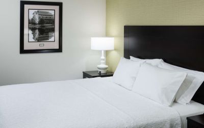 King bed at Hampton Inn & Suites Gainesville-Downtown.