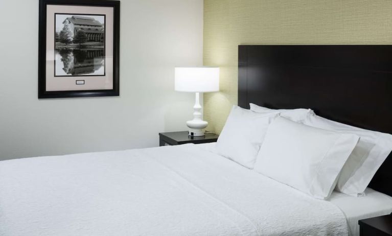King bed at Hampton Inn & Suites Gainesville-Downtown.