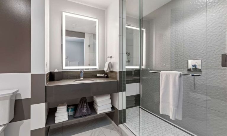 Private guest bathroom with shower and free toiletries at The Rose Hotel Chicago O’Hare, Tapestry Collection By Hilton.