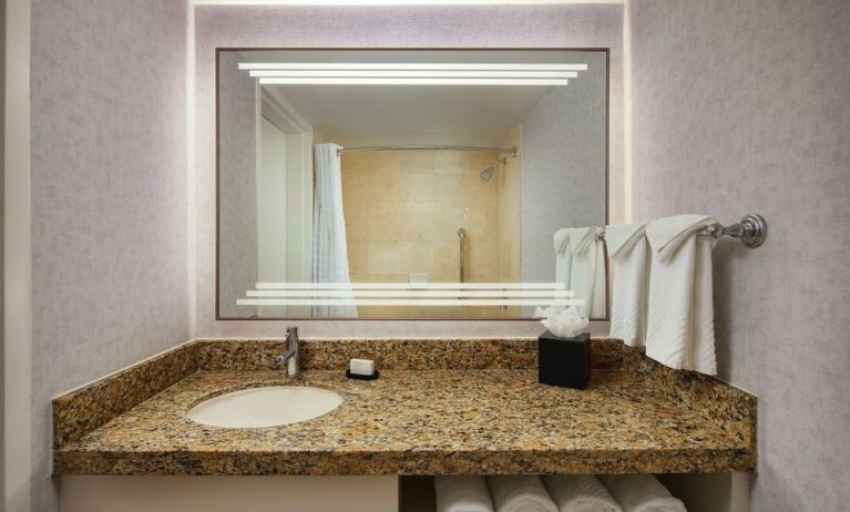 Private guest bathroom with shower and free toiletries at Embassy Suites By Hilton West Palm Beach Central.
