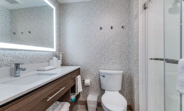 Private guest bathroom with shower and free toiletries at Home2 Suites By Hilton Dallas Medical District Lovefield.