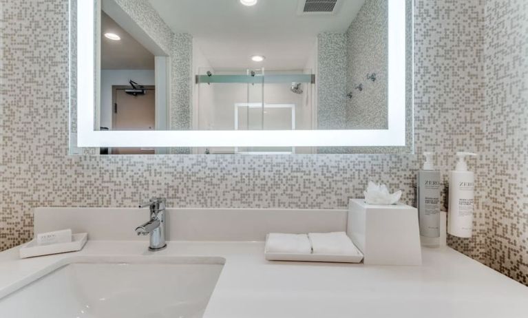 Private guest bathroom at Home2 Suites By Hilton Dallas Medical District Lovefield.