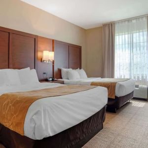 Day use twin room at Comfort Suites Alexandria, LA.
