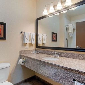 Private guest bathroom with free toiletries at Comfort Suites Alexandria, LA.