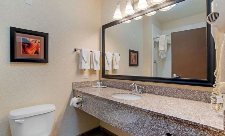 Private guest bathroom with free toiletries at Comfort Suites Alexandria, LA.