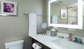 Guest bathroom at Crowne Plaza Chicago SW.