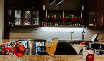 Bar at Crowne Plaza Chicago SW.