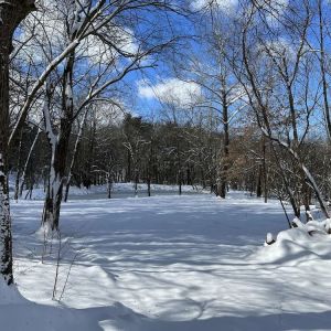 Outdoors surrounding at SKYLARANNA Resort & Spa.
