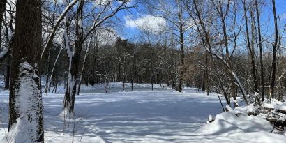 Outdoors surrounding at SKYLARANNA Resort & Spa.