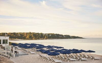 Beach lounge chairs at Sea Crest Beach Hotel.