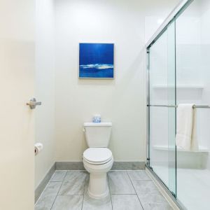 Private guest bathroom with shower and free toiletries at Palace Inn Blue IAH East.