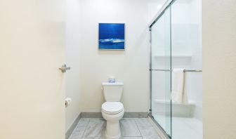 Private guest bathroom with shower and free toiletries at Palace Inn Blue IAH East.