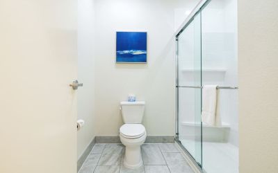 Private guest bathroom with shower and free toiletries at Palace Inn Blue IAH East.