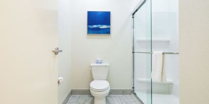 Private guest bathroom with shower and free toiletries at Palace Inn Blue IAH East.